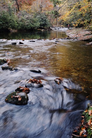 where to fish czech nymps